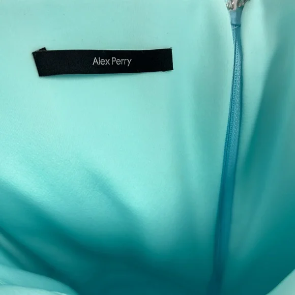 Prescott Gloved Ruched Mesh Midi Dress - Picture 6 of 9